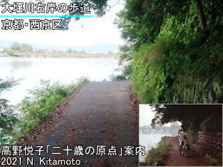 大堰川右岸の歩道