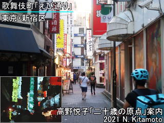 歌舞伎町えび通り