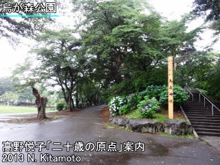 現在の烏が森公園