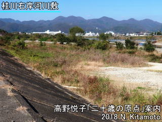 桂川右岸河川敷