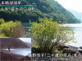 本栖湖湖岸