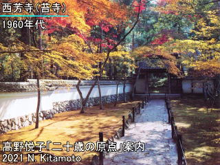 秋の西芳寺苔寺