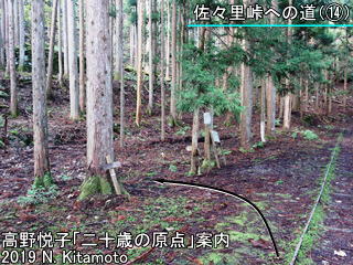 佐々里峠への道