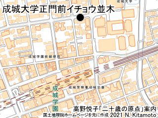 成城大学正門前イチョウ並木地図