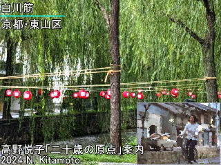 自転車で駆け抜けた白川沿い