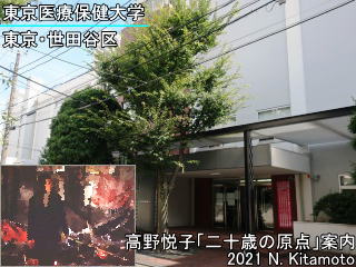 東京医療保健大学