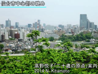 仙台市中心部の眺め